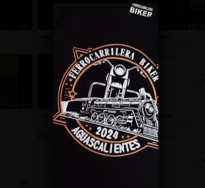 Video 15